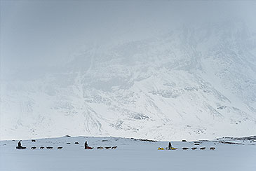 Huskytour Schweden und Lappland