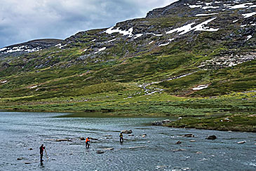 Abisko Nationalpark Trekking