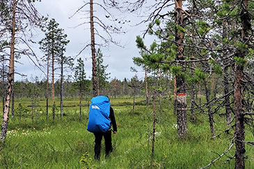 Wandern Lappland