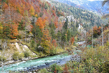 Steirische Salza, Alpen Österreich