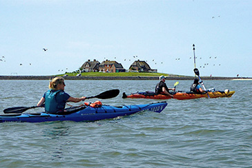 Seekajak Tour Nordsee Halligen
