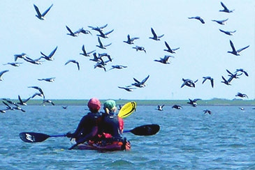 Seekajak Deutschland