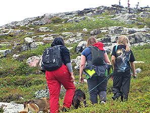 Lappland Urlaub