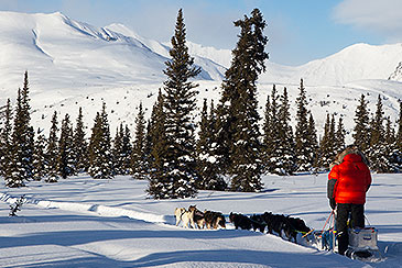 Huskytouren Lappland